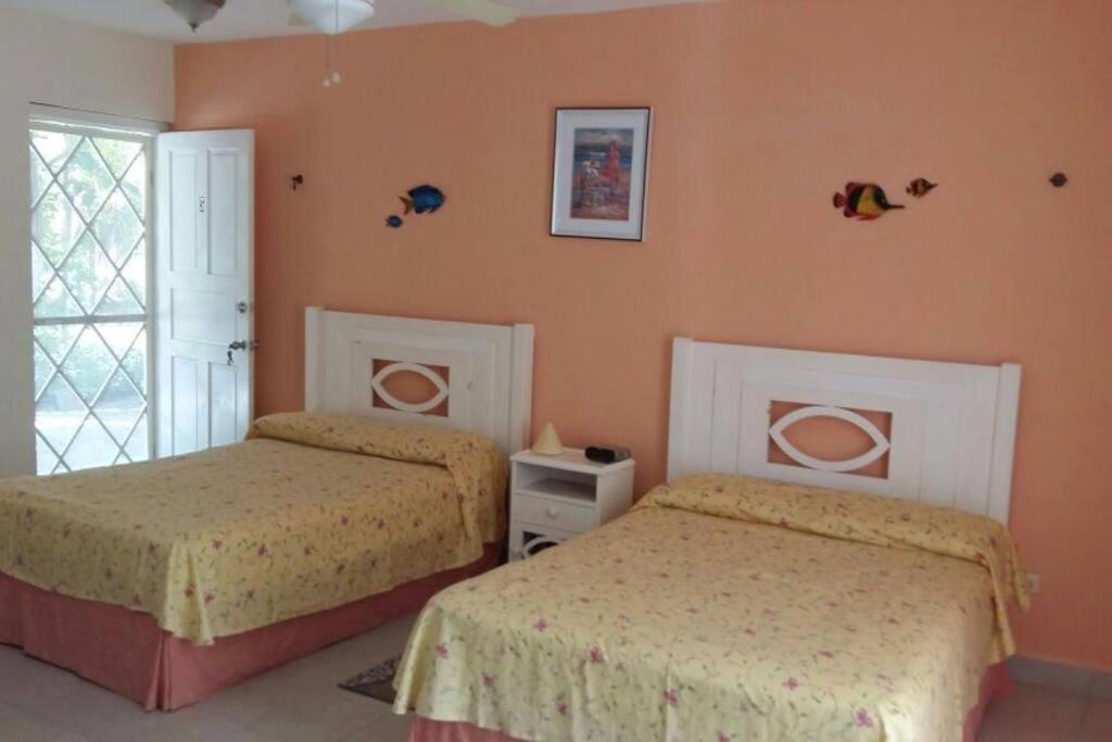 Marysol Private Beach Next To Nomads D5 Isla Mujeres Ngoại thất bức ảnh