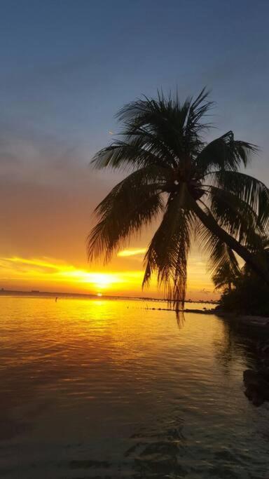 Marysol Private Beach Next To Nomads D5 Isla Mujeres Ngoại thất bức ảnh